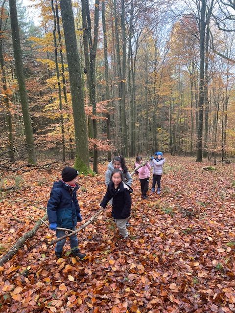 Äste werden fürs Waldsofa gesucht.